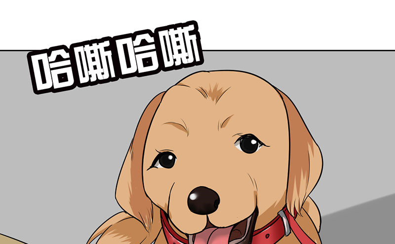 第44章：对不起，我说谎了。0