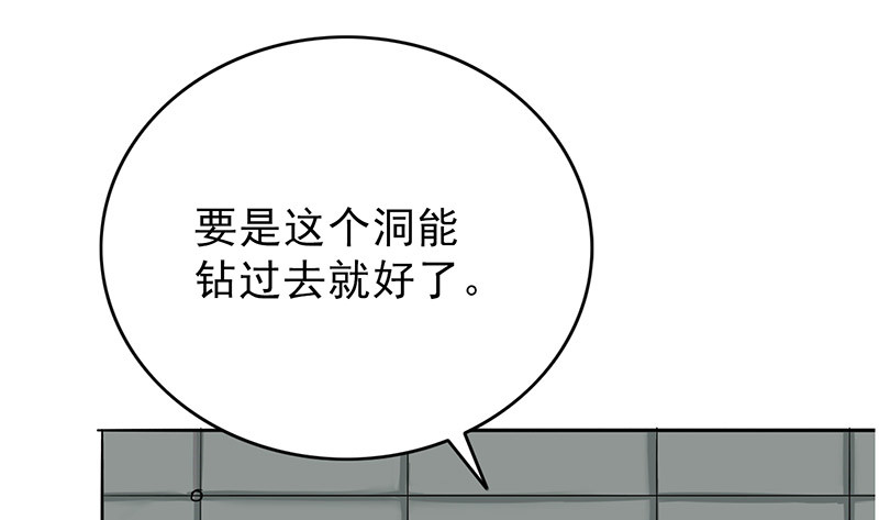 第43章：失算了！24