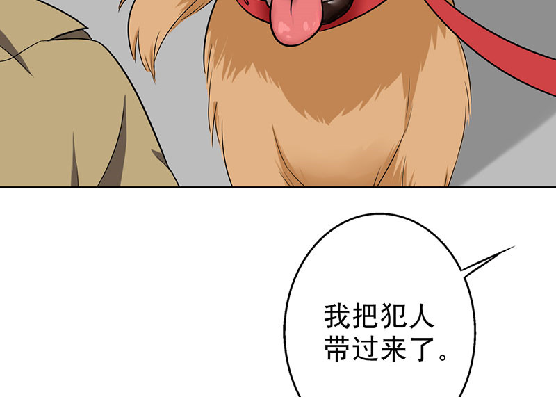 第44章：对不起，我说谎了。1