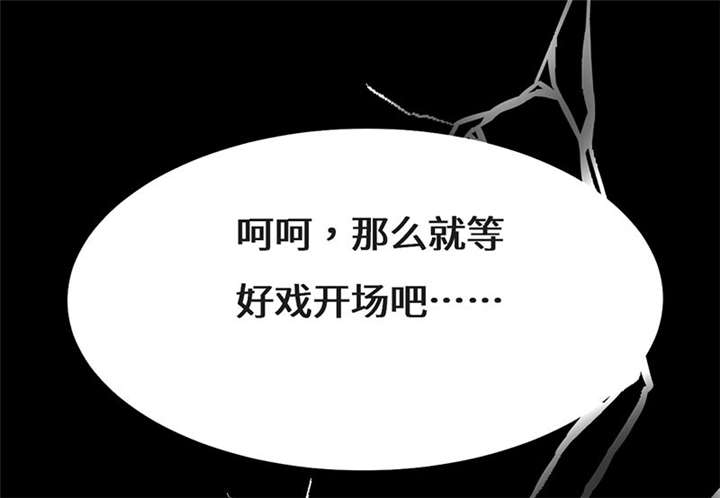 第55章：神秘女子25