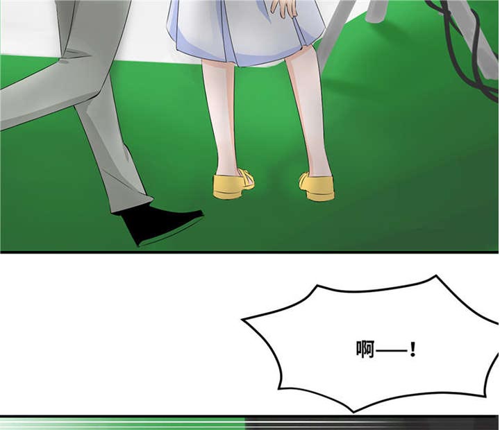 第53章：赔偿20