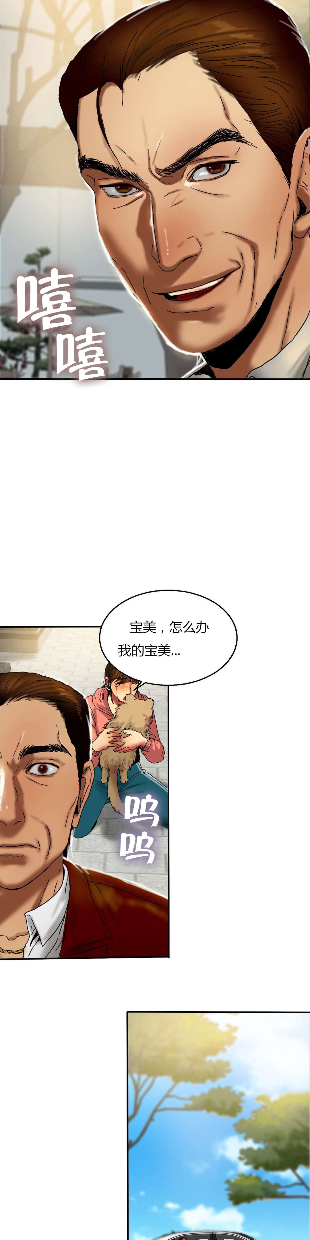 第31章：质问6