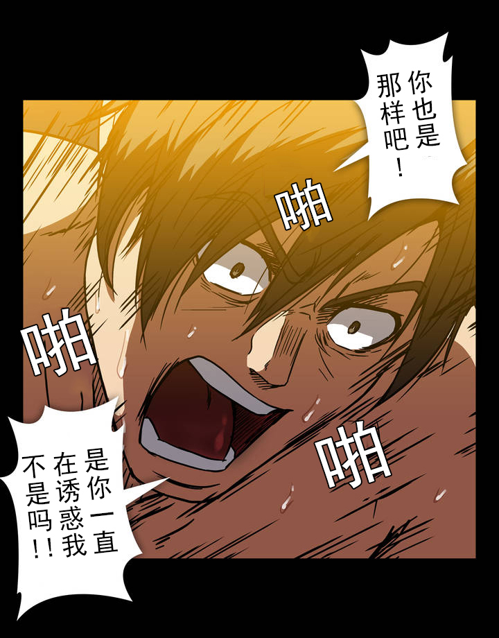 第30章：释放6