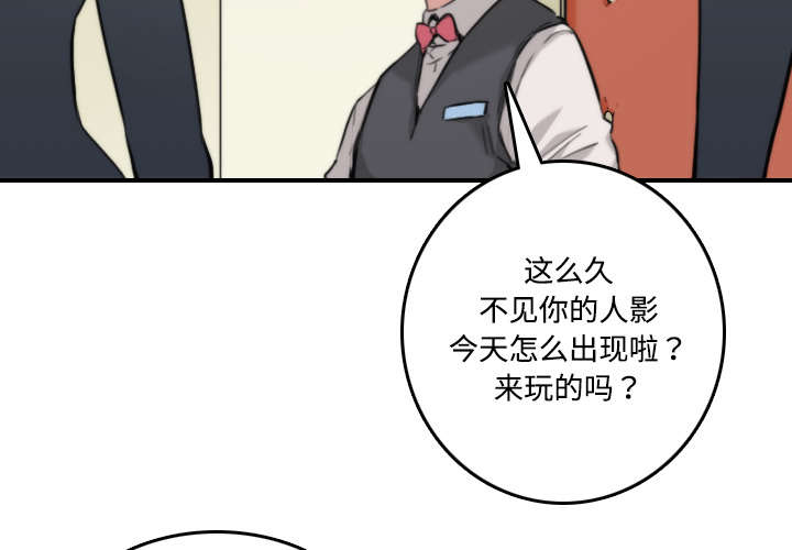 第31章：实战3