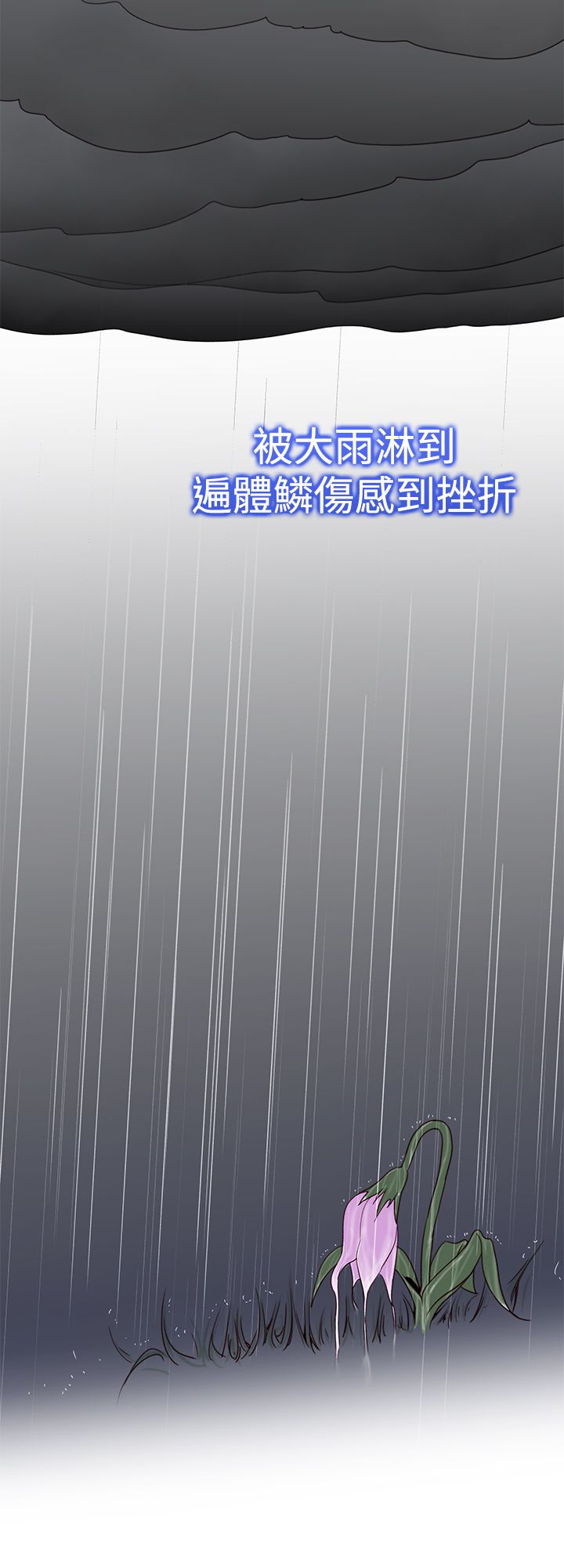 第44章：完结2