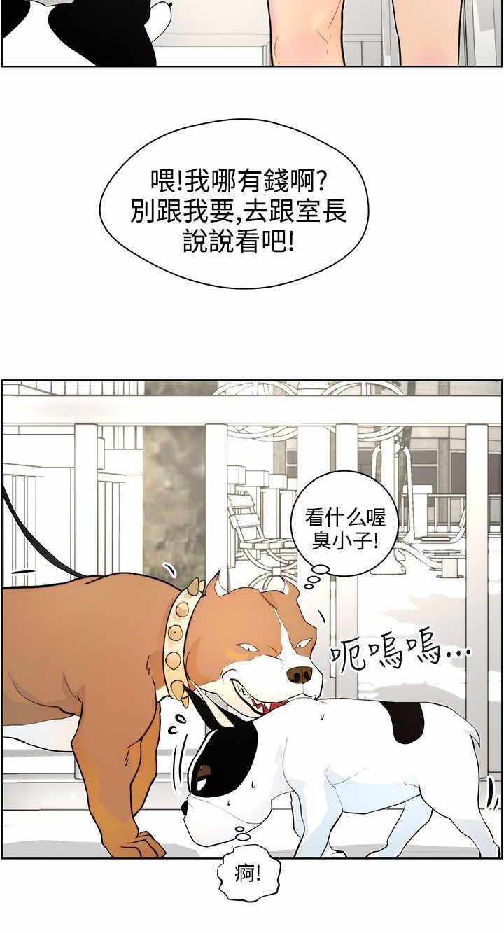 第7章：遛狗7