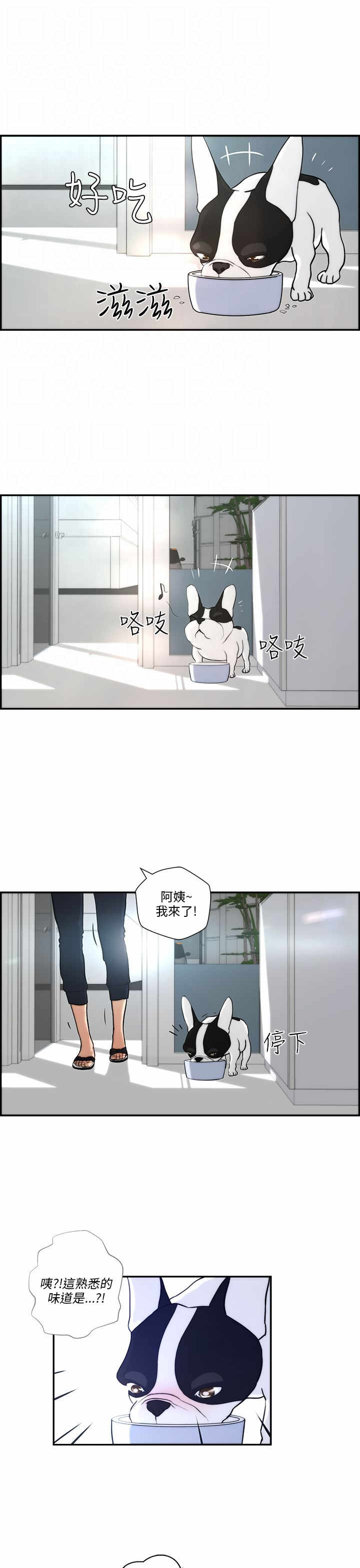 第3章：流浪19