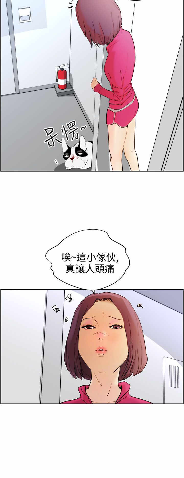 第7章：遛狗3