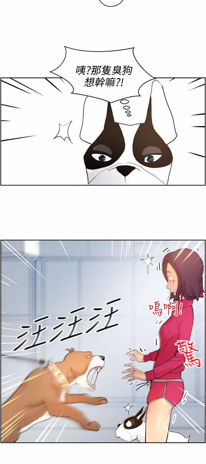 第7章：遛狗11
