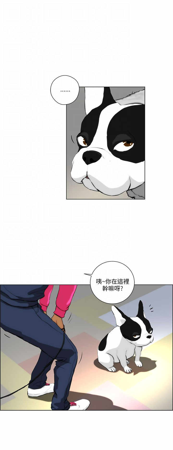 第1章：雷击14