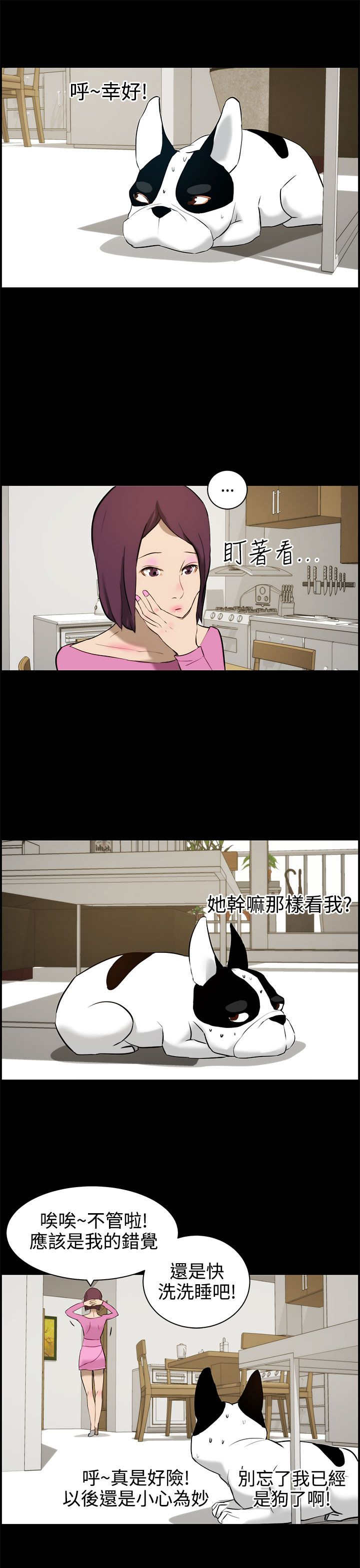 第13章：错觉12