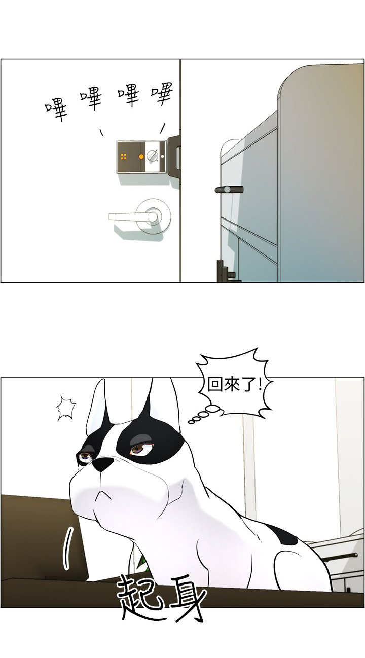 第11章：做卫生13