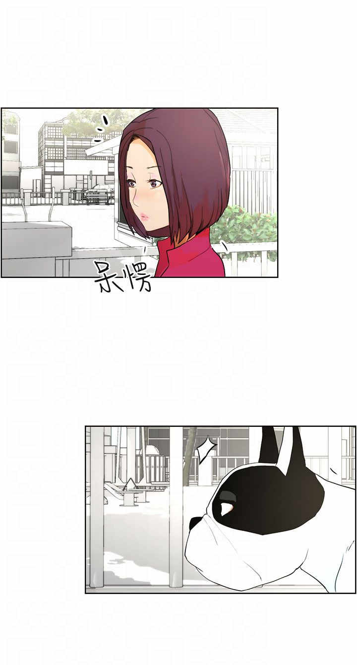 第7章：遛狗5