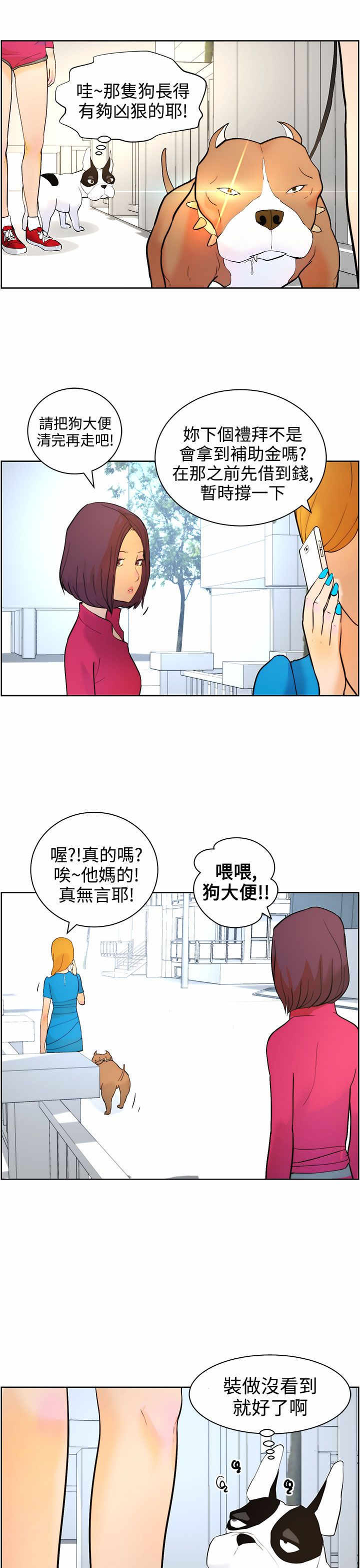 第7章：遛狗8
