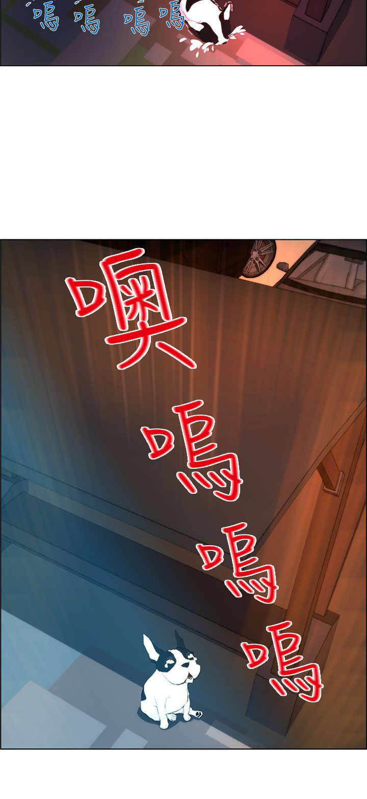 第1章：雷击18