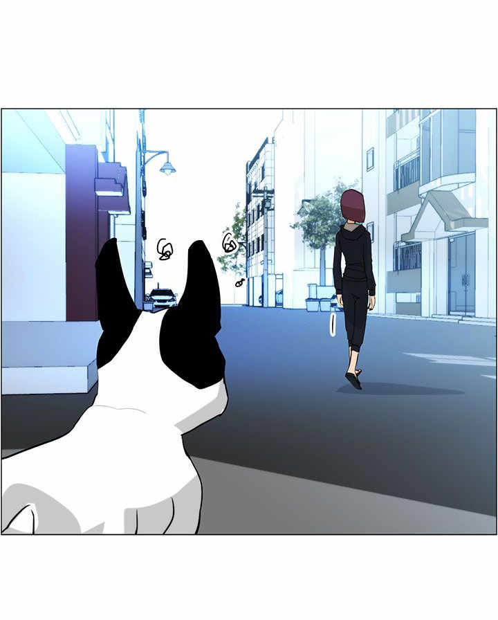 第4章：跟随17