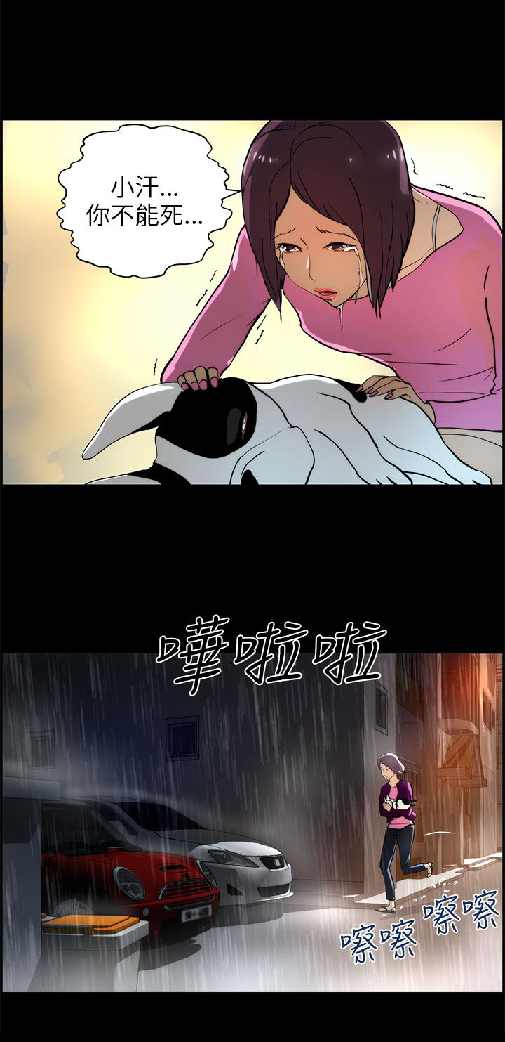 第24章：纪念币1