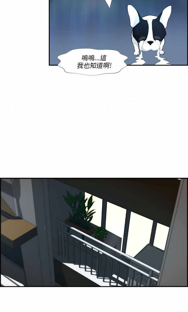 第3章：流浪5