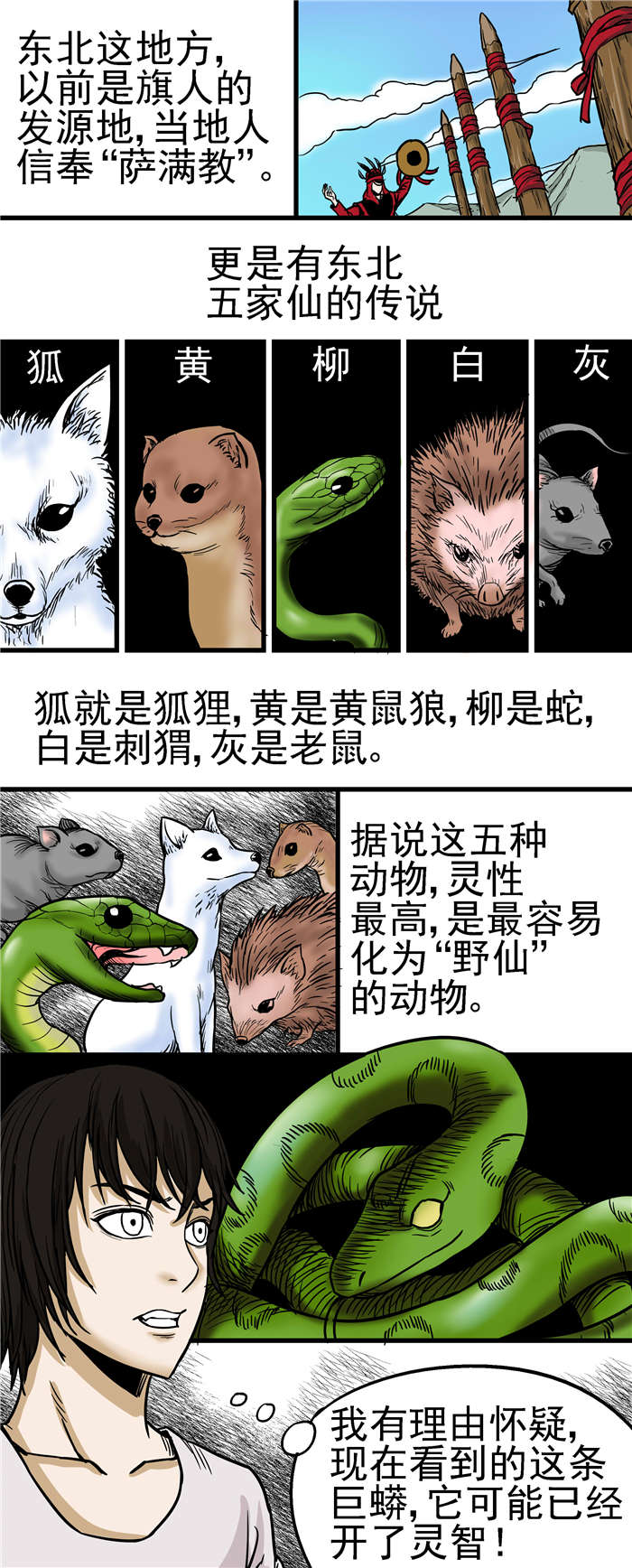第21章：五家仙传说4