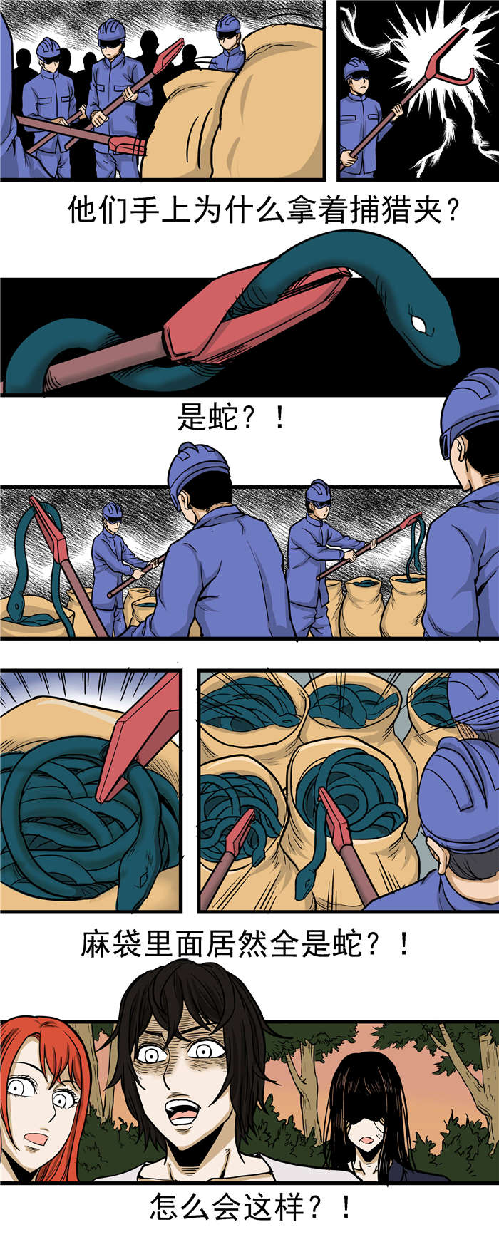 第24章：又是好多蛇1