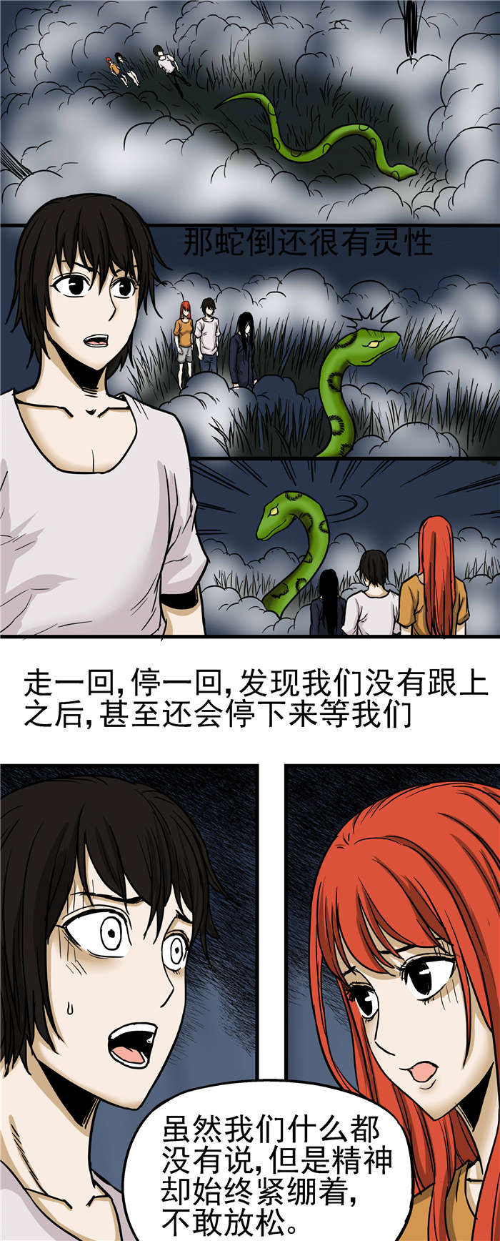 第21章：五家仙传说3