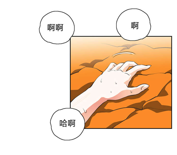 第39章：分析1
