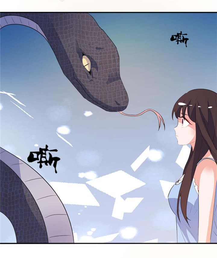 第11章：这夜色好美6