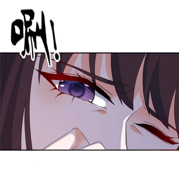 第29章：无冤无仇27