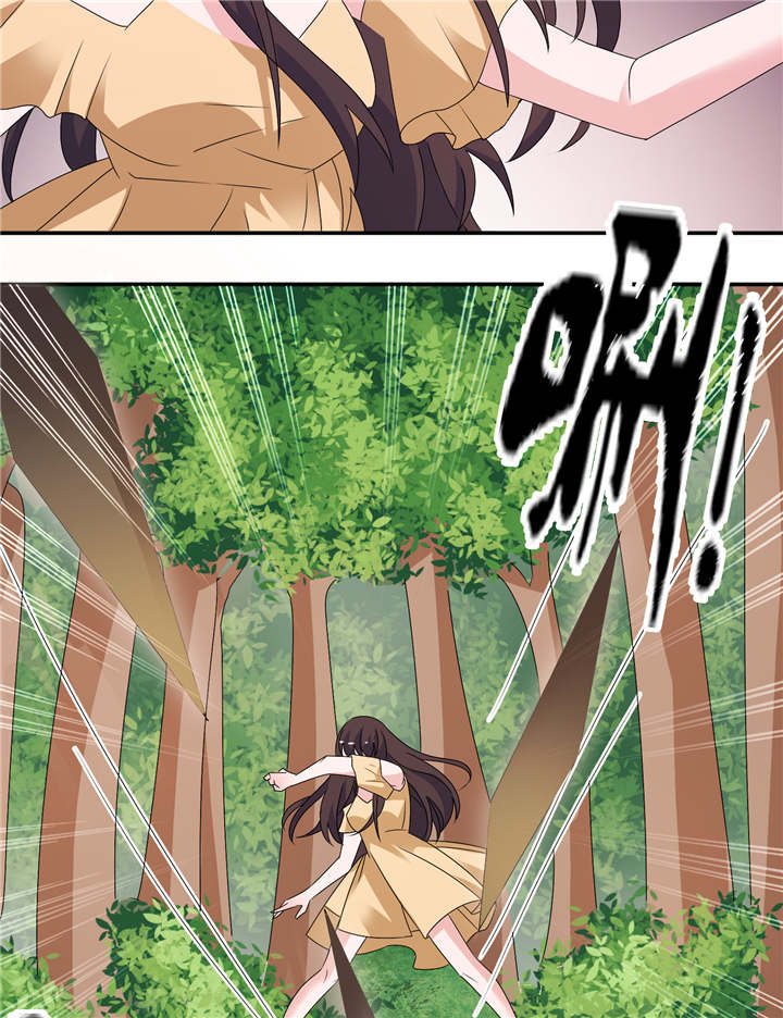 第49章：救人6