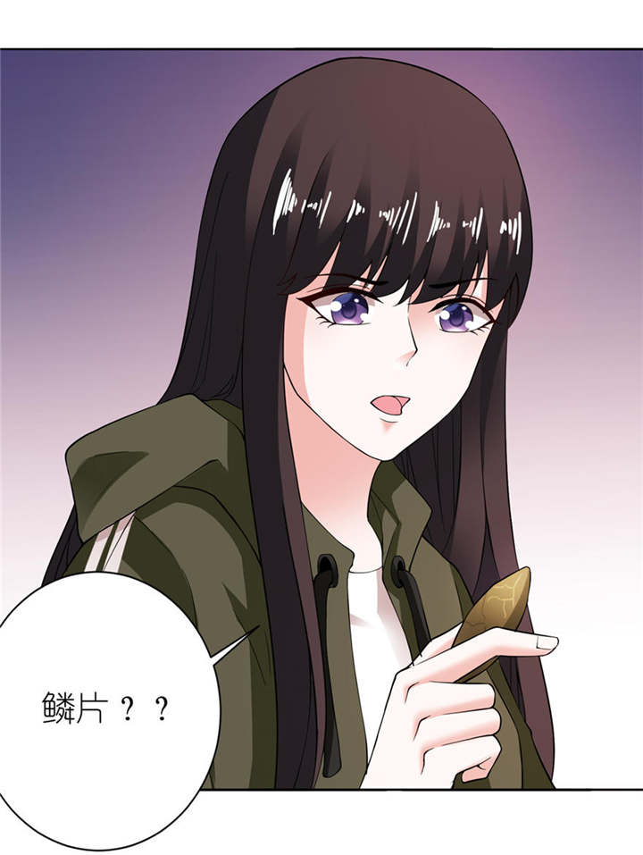第7章：宿命19
