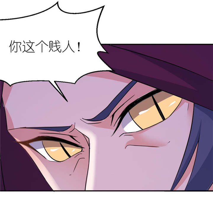 第29章：无冤无仇24