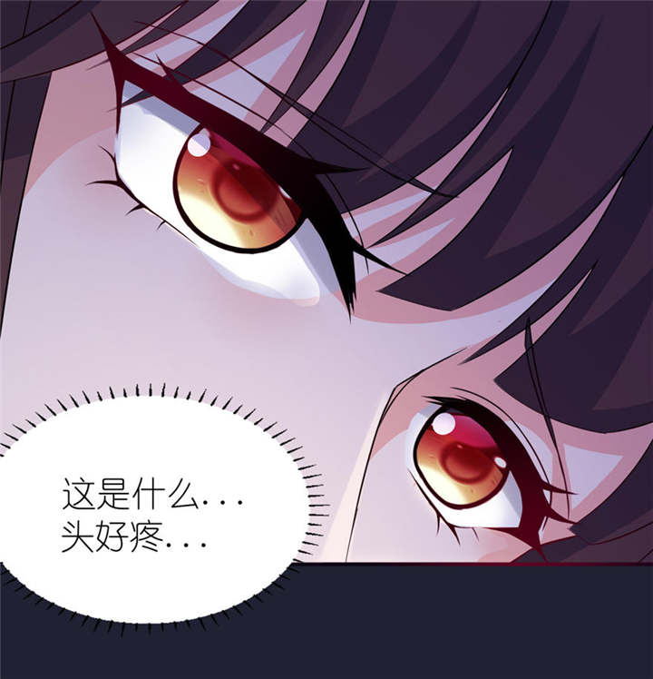 第24章：前世今生8