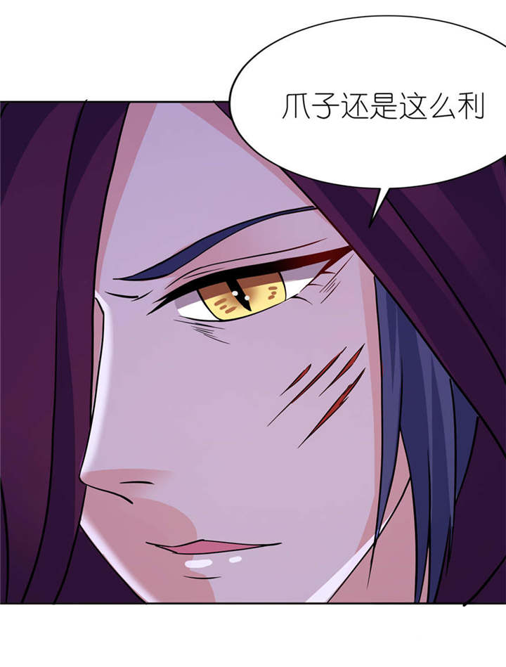 第15章：神秘来客4