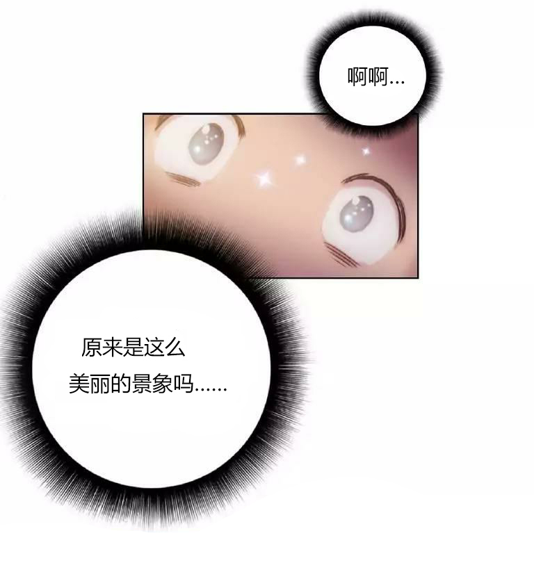 第20章：纯粹7