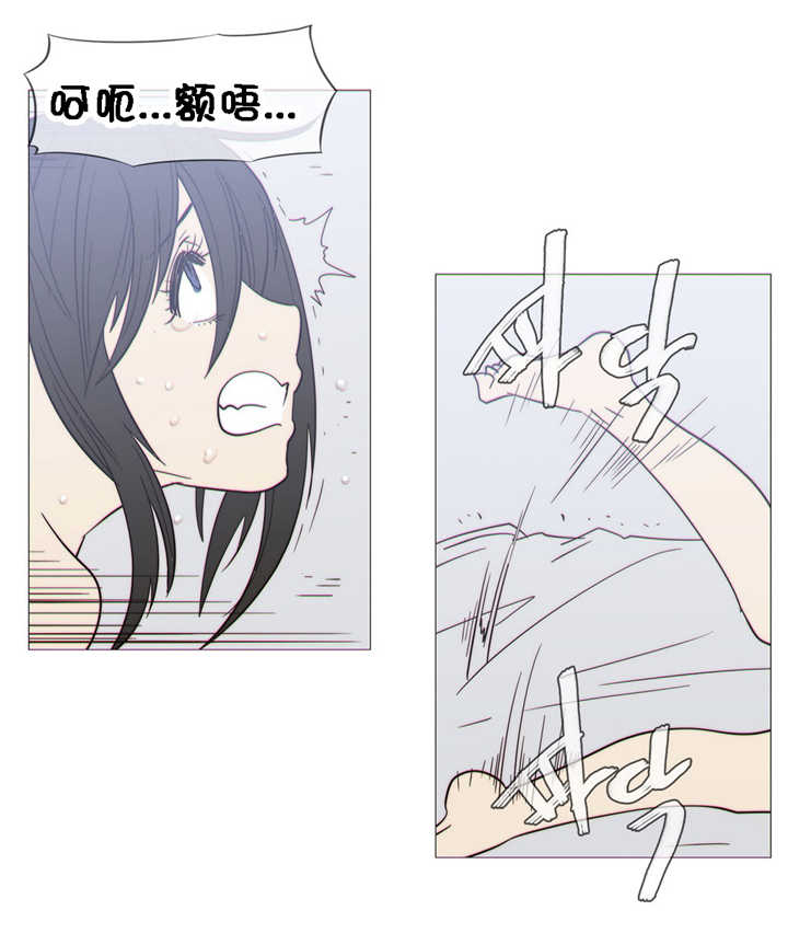 第23章：附属品16