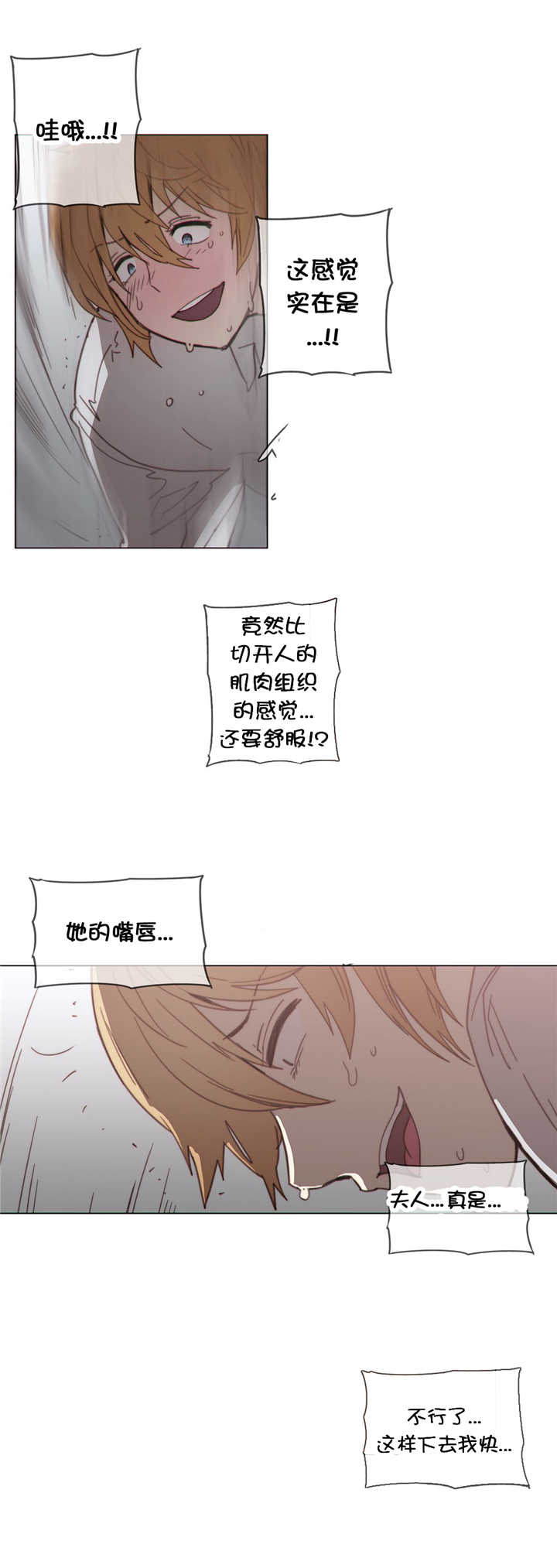 第40章：见他13