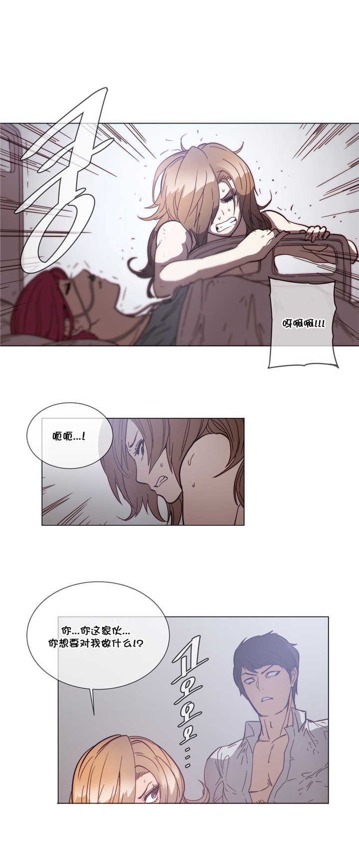 第52章：贵客11
