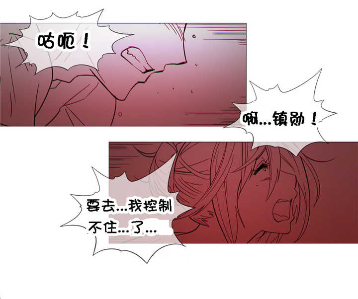 第23章：附属品17