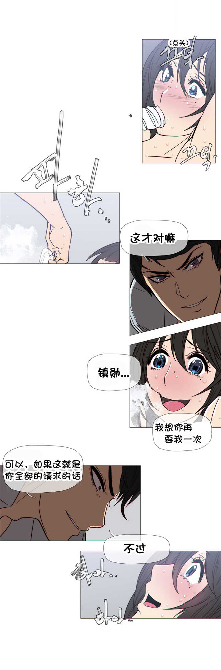 第23章：附属品11