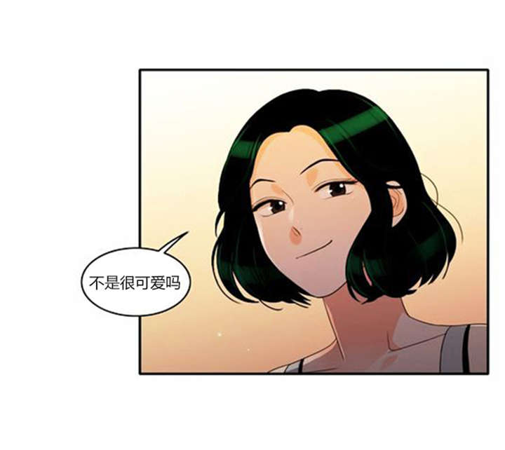 第38章：不理解6