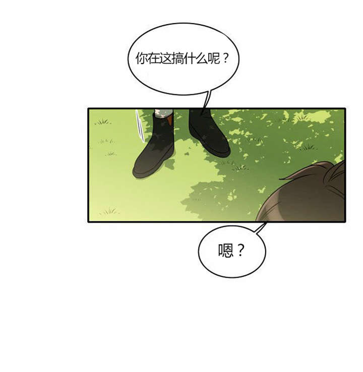 第28章：制定计划18