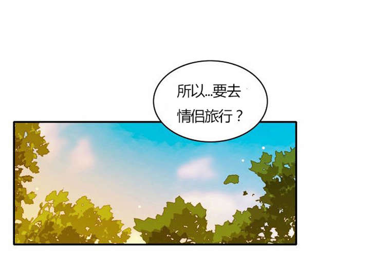 第29章：成功实施0