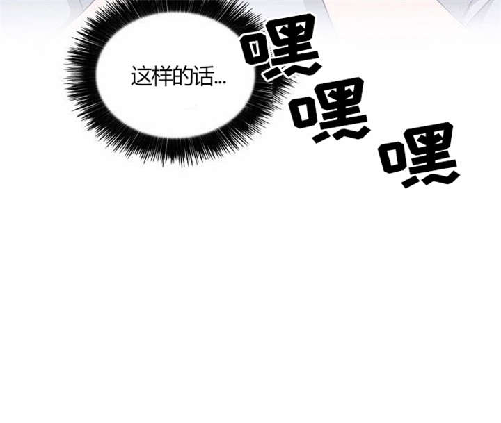 第29章：成功实施28