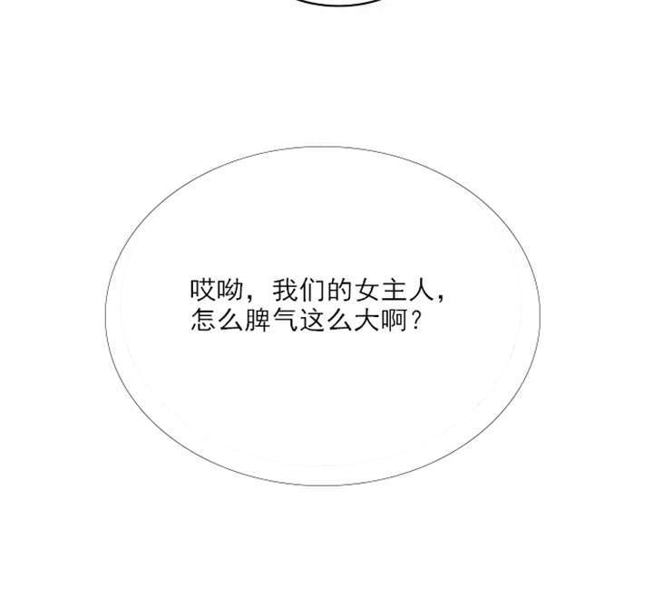 第1章：失败的婚姻15