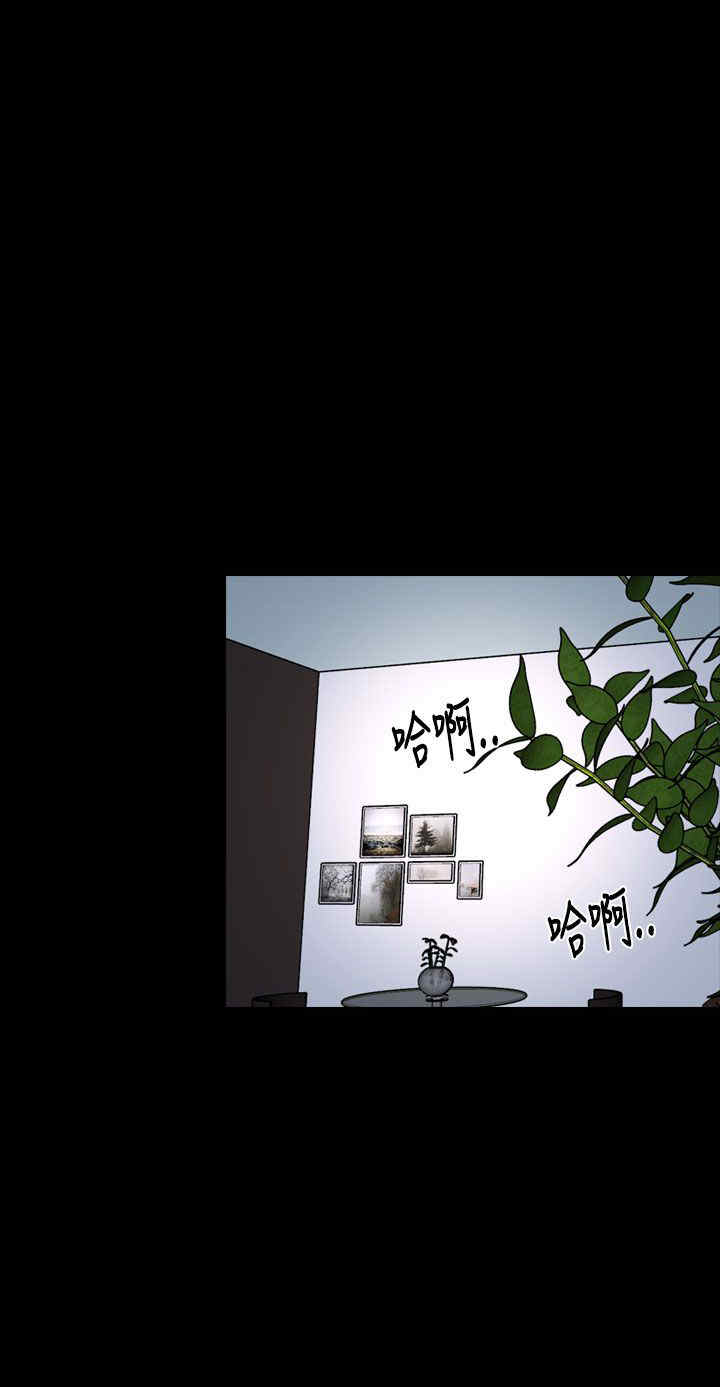 第40章：会长11