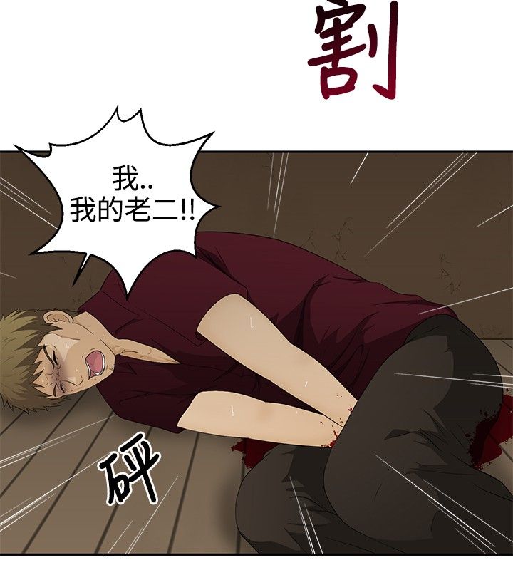 第15章：报仇18