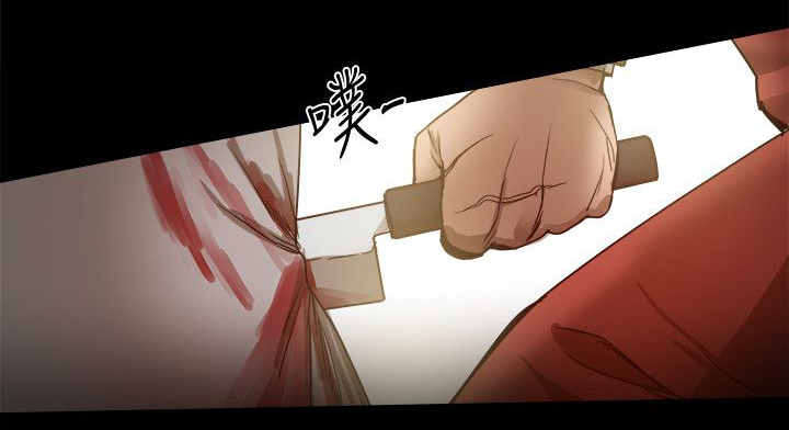 第86章：一切都是计划12