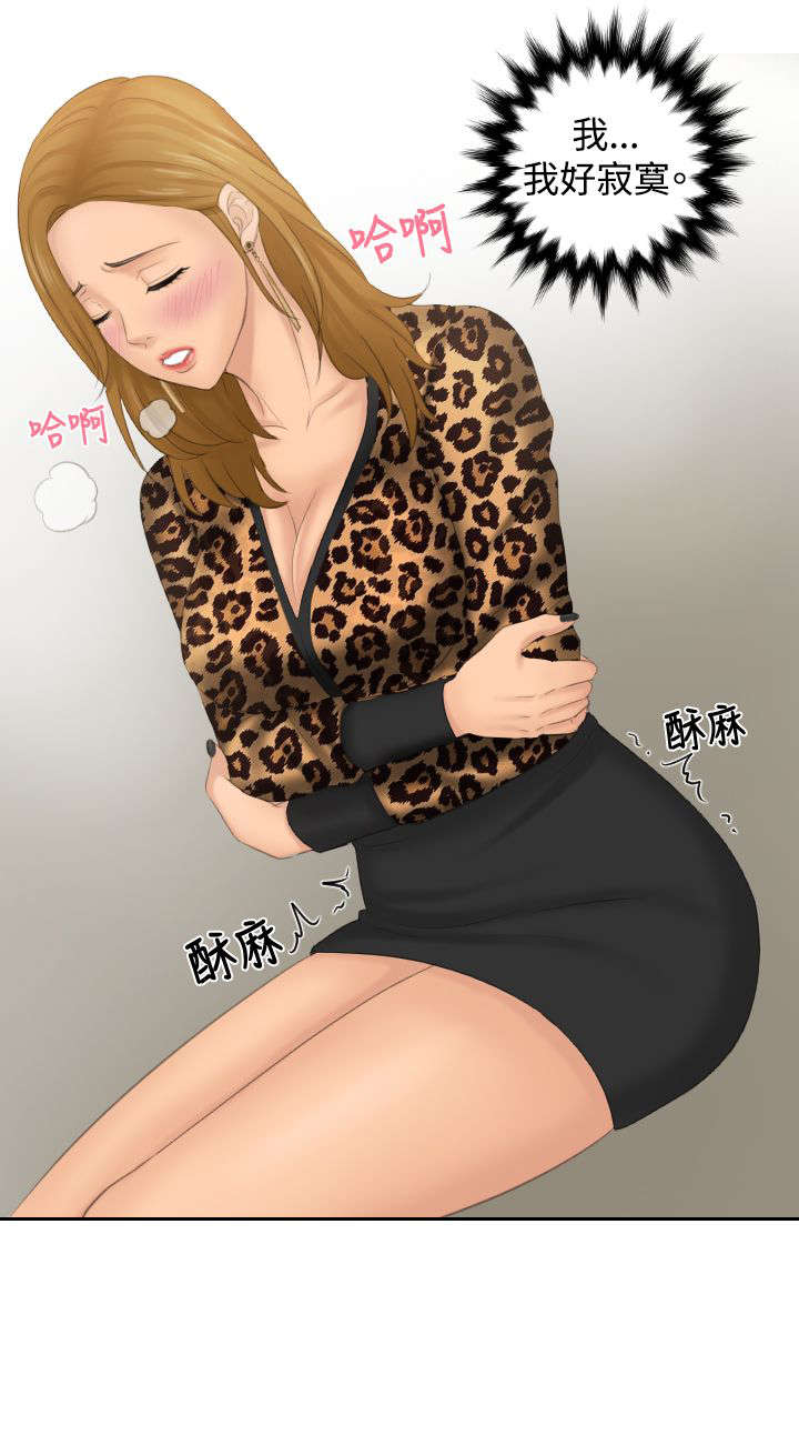 第45章：伪装17