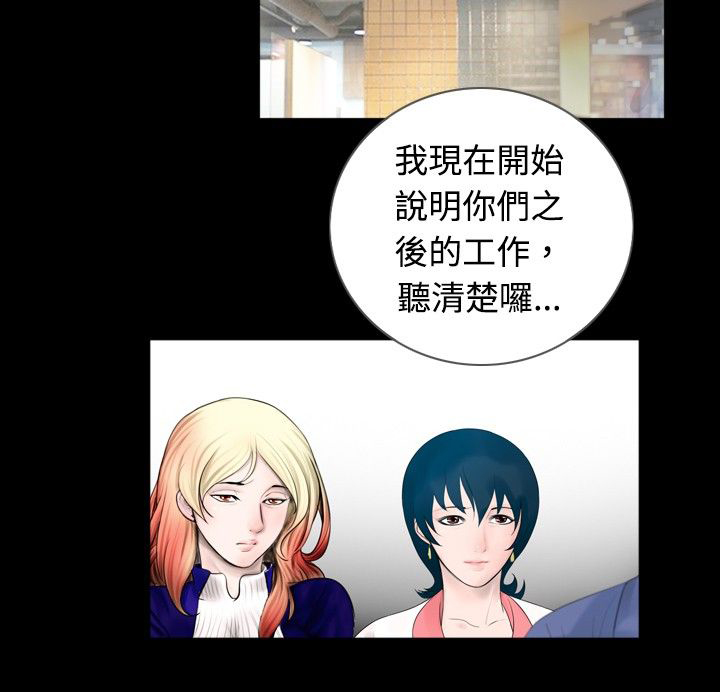 第33章：报告11