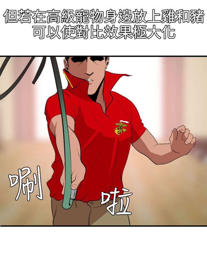 第36章：朋友18
